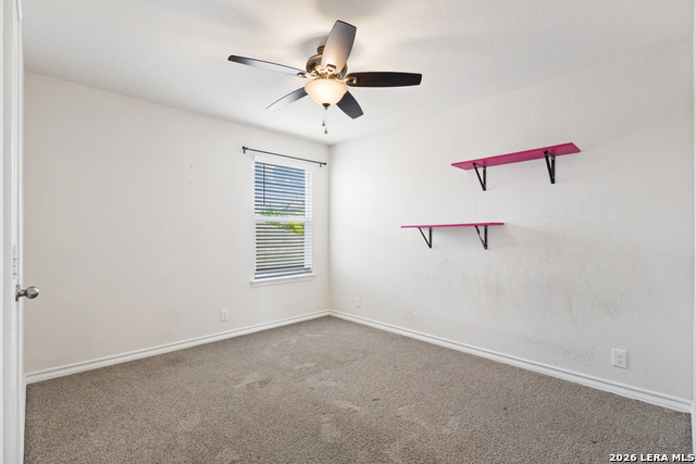 187 Scarlet Macaw Property Photo 19