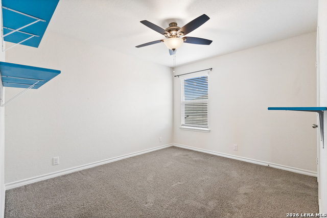 187 Scarlet Macaw Property Photo 20