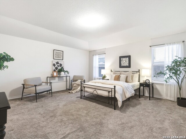 9915 Kalm Brome Property Photo 17