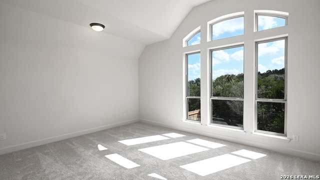 3625 Agarita Pass Property Photo 10