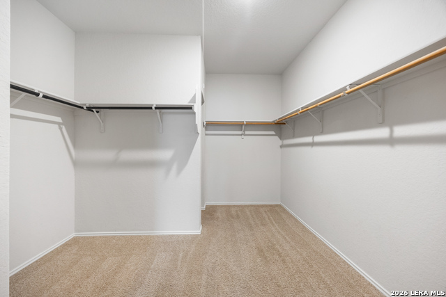 824 Cinnamon Teal Property Photo 22