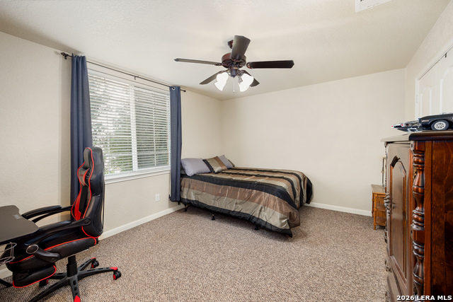 152 Brook Meadow Property Photo 29