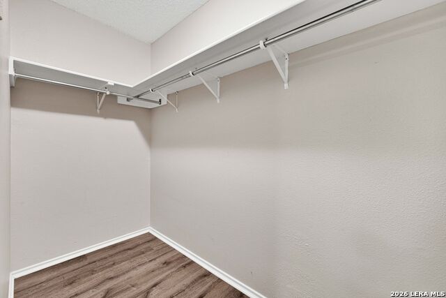 9939 Lauren Mist Property Photo 16