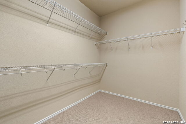 8230 Piney Wood Run Property Photo 20
