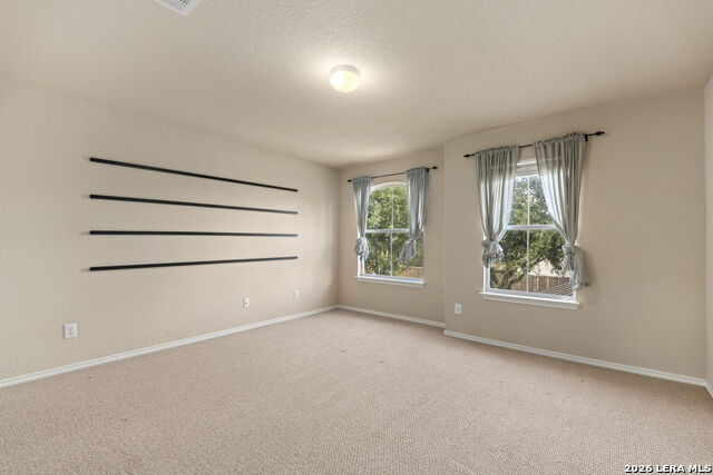 8230 Piney Wood Run Property Photo 29