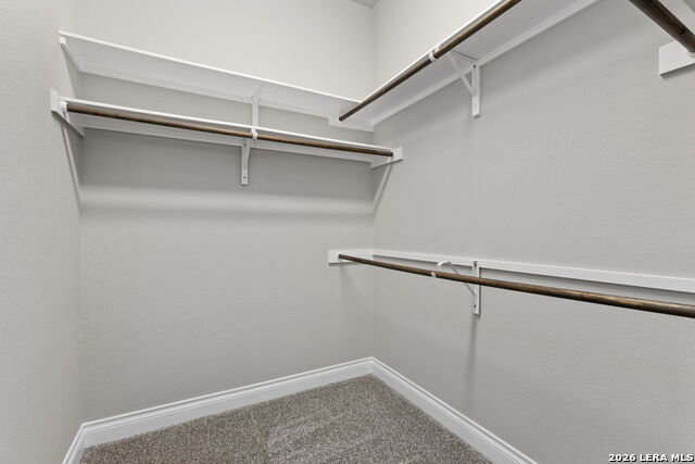 109 Alder Woods Property Photo 26