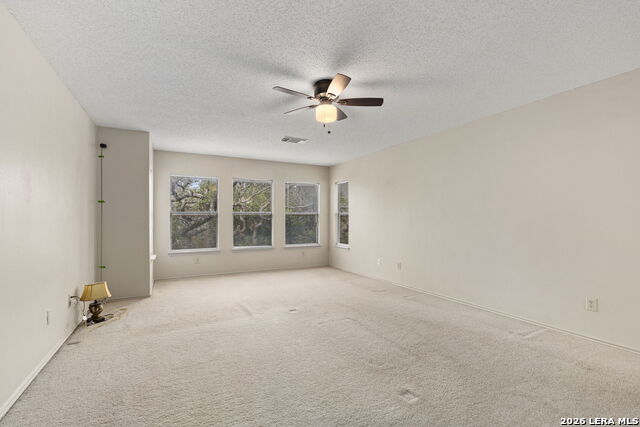 12014 Vintage Pt Property Photo 22