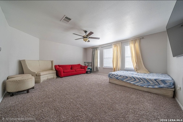 9610 Mediator Pass Property Photo 30