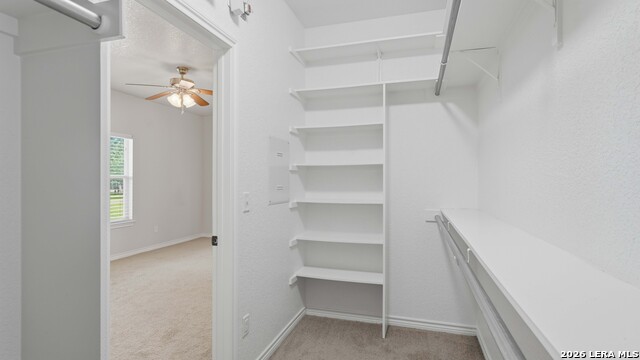 125 Big Sky Dr Property Photo 33
