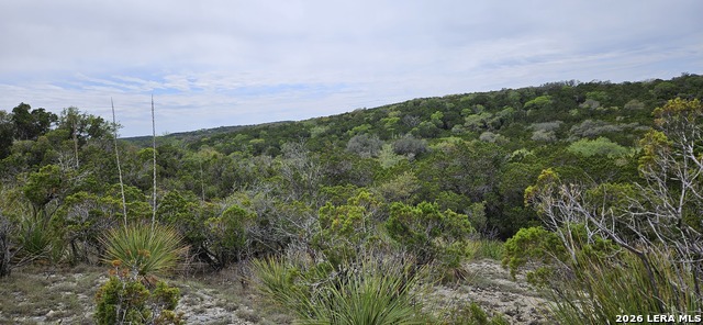 21207 Scenic Loop Property Photo 1