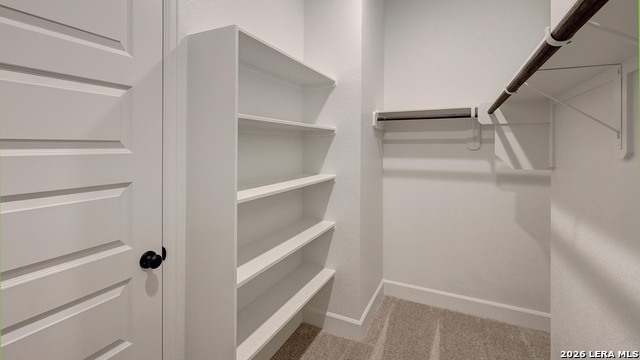 4213 Mountain Ash Property Photo 18