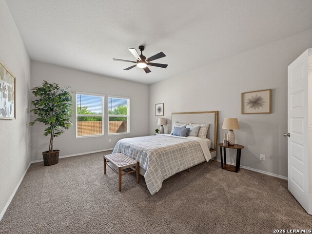 304 Saddle Dawn Property Photo 16