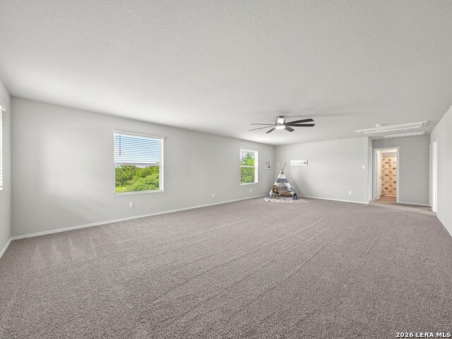 304 Saddle Dawn Property Photo 22