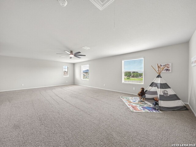 304 Saddle Dawn Property Photo 28