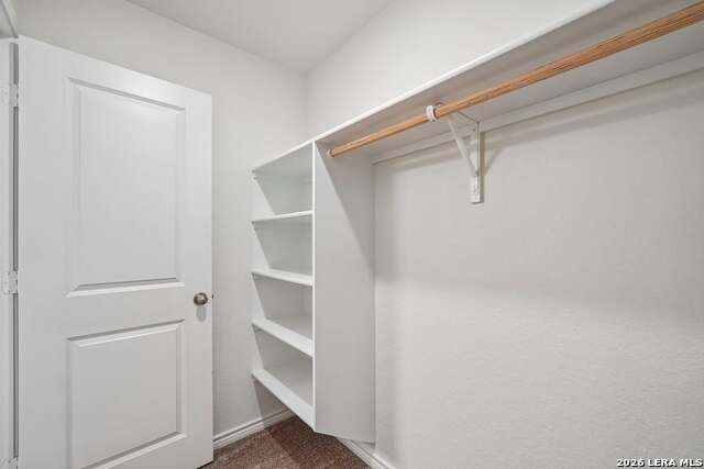 1010 Tranchet Trail Property Photo 20