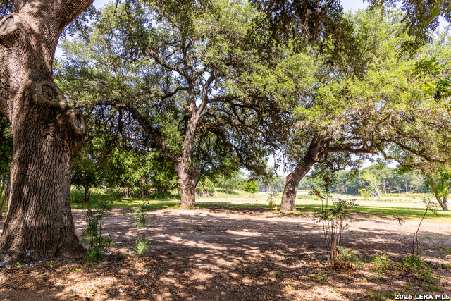129 Old Ingram Loop Property Photo 10