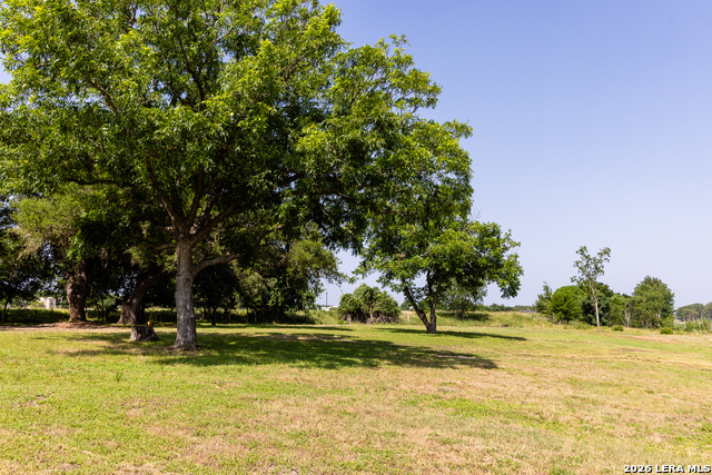 129 Old Ingram Loop Property Photo 14
