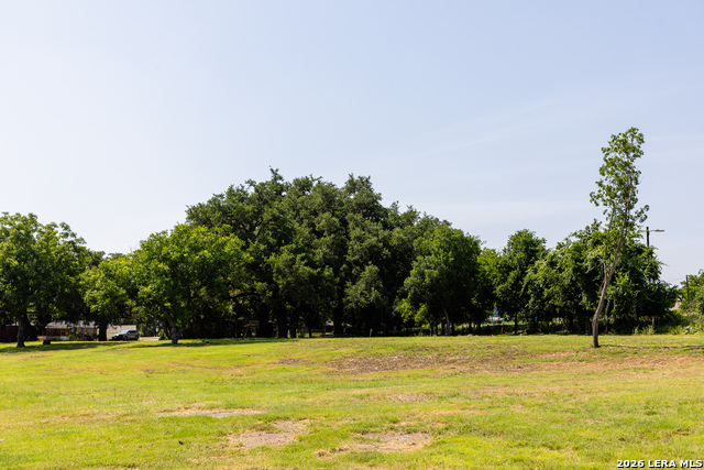 129 Old Ingram Loop Property Photo 16