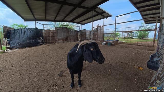 202 Fm 466 Property Photo 14