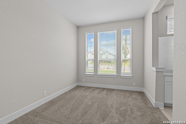 2411 Briggs Bluff Property Photo 11