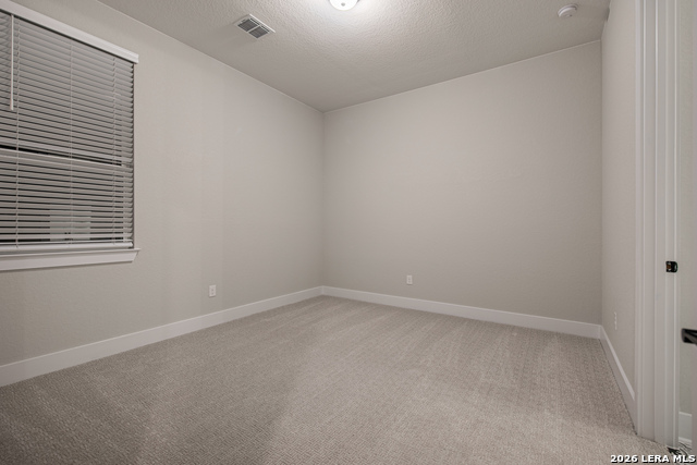 27813 Alpine Pass Property Photo 31