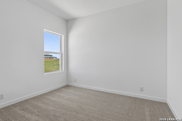 122 Thornbloom Property Photo 19