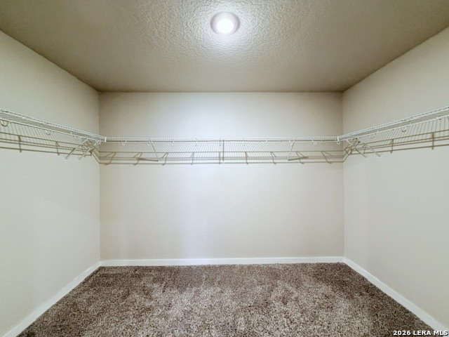 10739 Rosalina Loop Property Photo 10