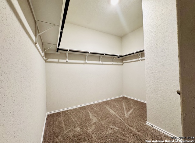 4843 Vogesite Path Property Photo 19