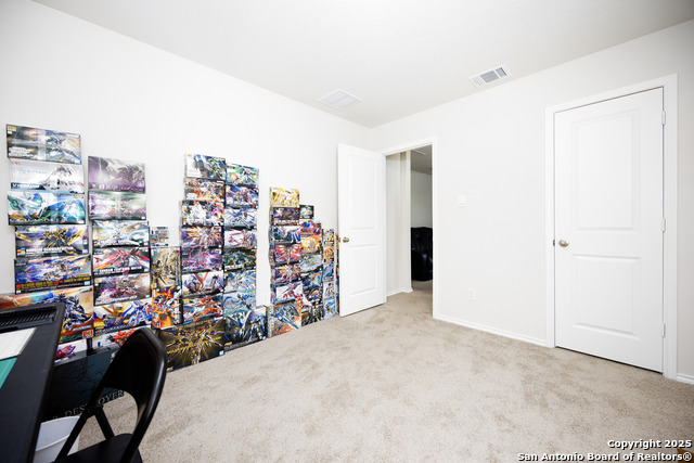 4843 Vogesite Path Property Photo 25