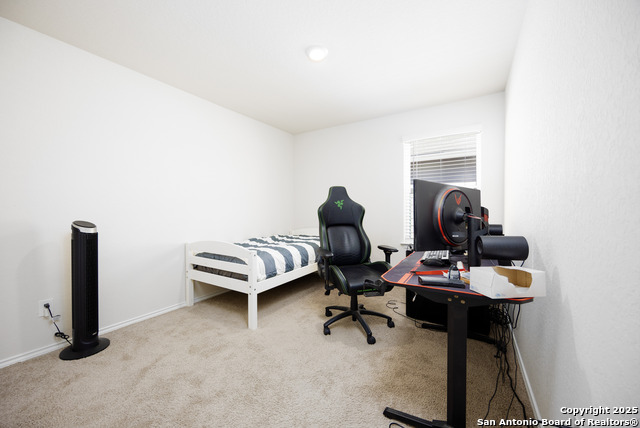 4843 Vogesite Path Property Photo 27