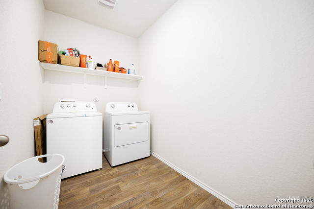 4843 Vogesite Path Property Photo 29