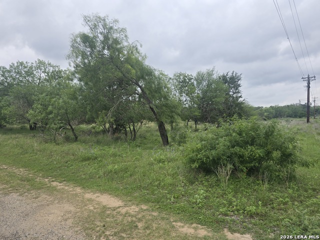 22 Cypress Property Photo 3