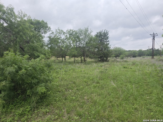 22 Cypress Property Photo 6