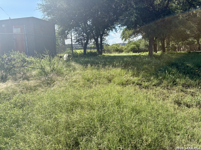 Tbd Old Austin Rd Property Photo 1