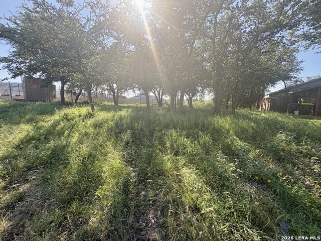 Tbd Old Austin Rd Property Photo 2