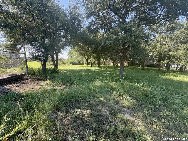 Tbd Old Austin Rd Property Photo 3