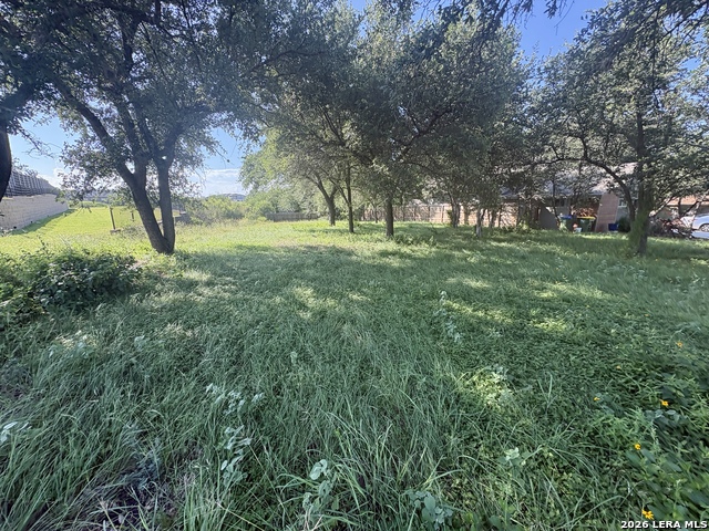 Tbd Old Austin Rd Property Photo 4