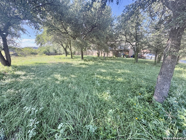 Tbd Old Austin Rd Property Photo 5
