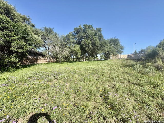 Tbd Old Austin Rd Property Photo 6