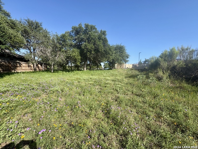 Tbd Old Austin Rd Property Photo 7