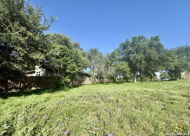 Tbd Old Austin Rd Property Photo 9
