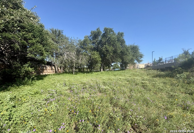 Tbd Old Austin Rd Property Photo 11