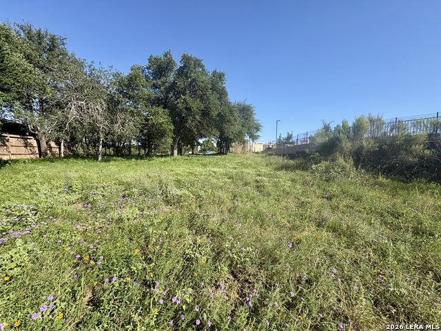 Tbd Old Austin Rd Property Photo 12