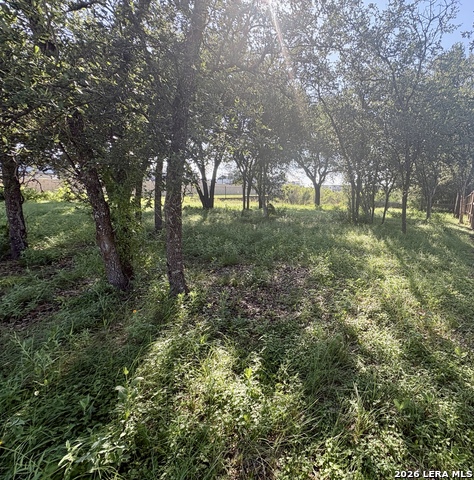 Tbd Old Austin Rd Property Photo 13