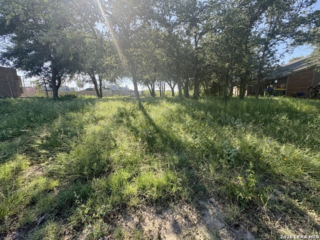 Tbd Old Austin Rd Property Photo 14