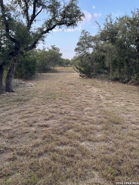 184 Peyton Colony Property Photo 3