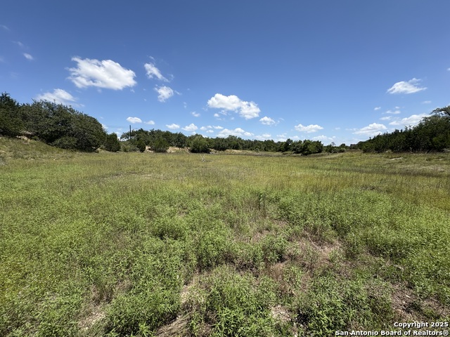 184 Peyton Colony Property Photo 7