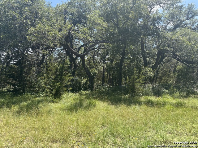 184 Peyton Colony Property Photo 10