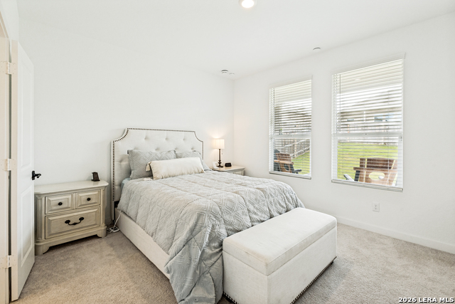 5924 American Elm Property Photo 10