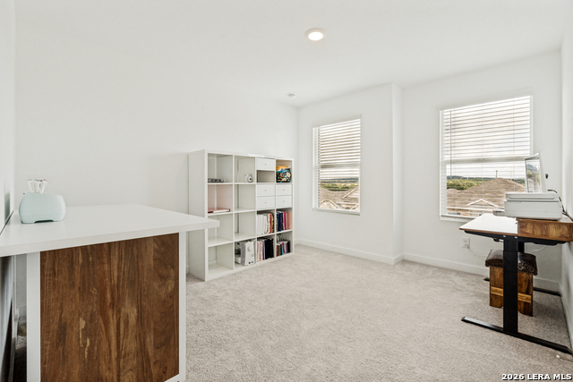 5924 American Elm Property Photo 13